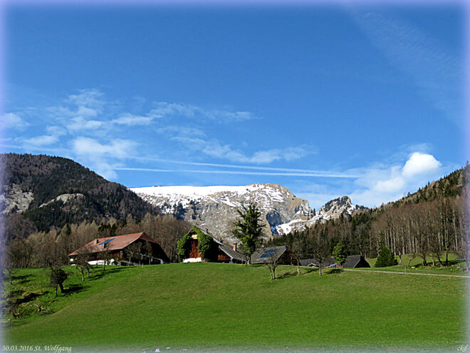 Schafbergfrühling