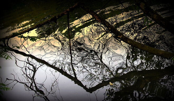 " FRÜHLINGSSPIEGELUNG"