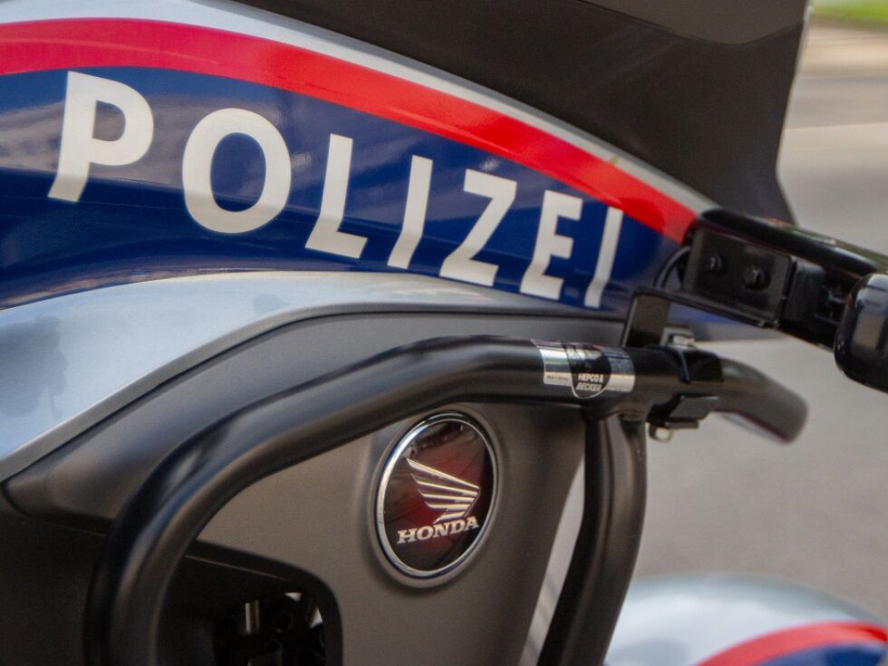 Hundeattacke in Gampern: Mutter aus Salzburg schützte Baby und wurde mehrmals gebissen