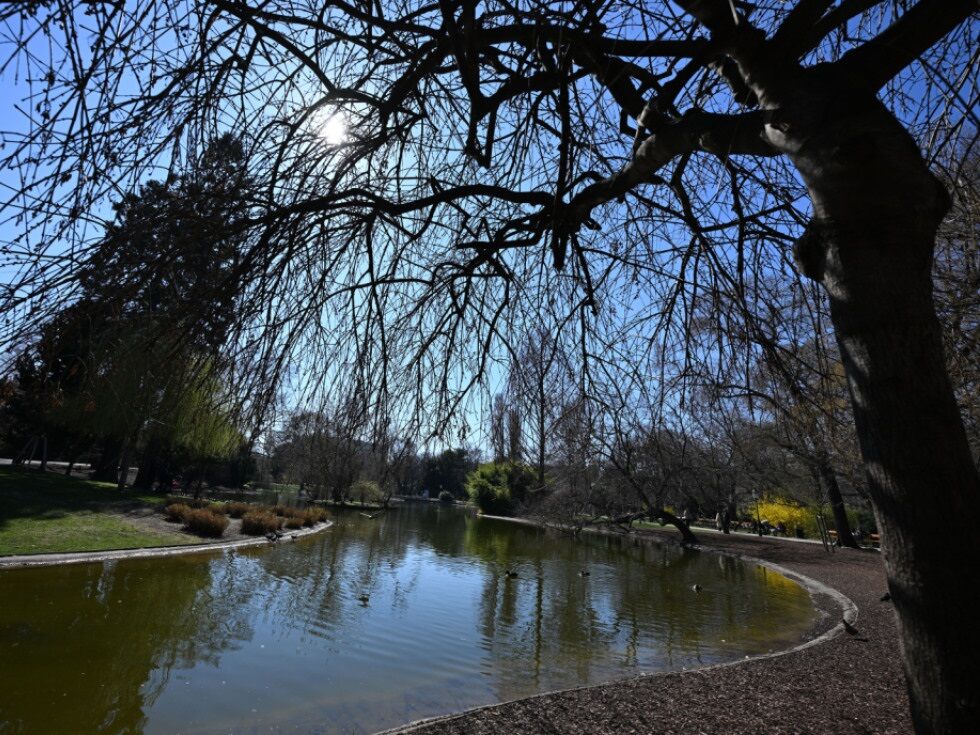 Nach Schlägen und Drohungen in Wien - Verdächtige gefasst