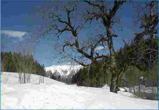 . . .  nahe dem Gleinkersee