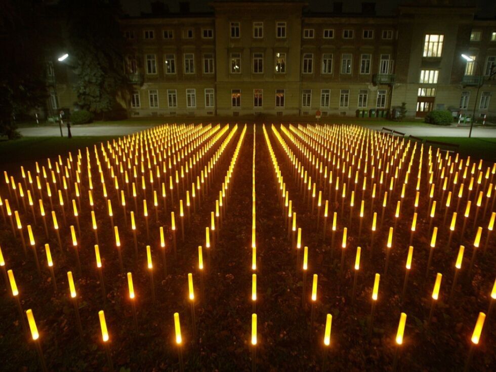 Nova spletna baza razkriva usode žrtev medicinskih poskusov v času nacizma