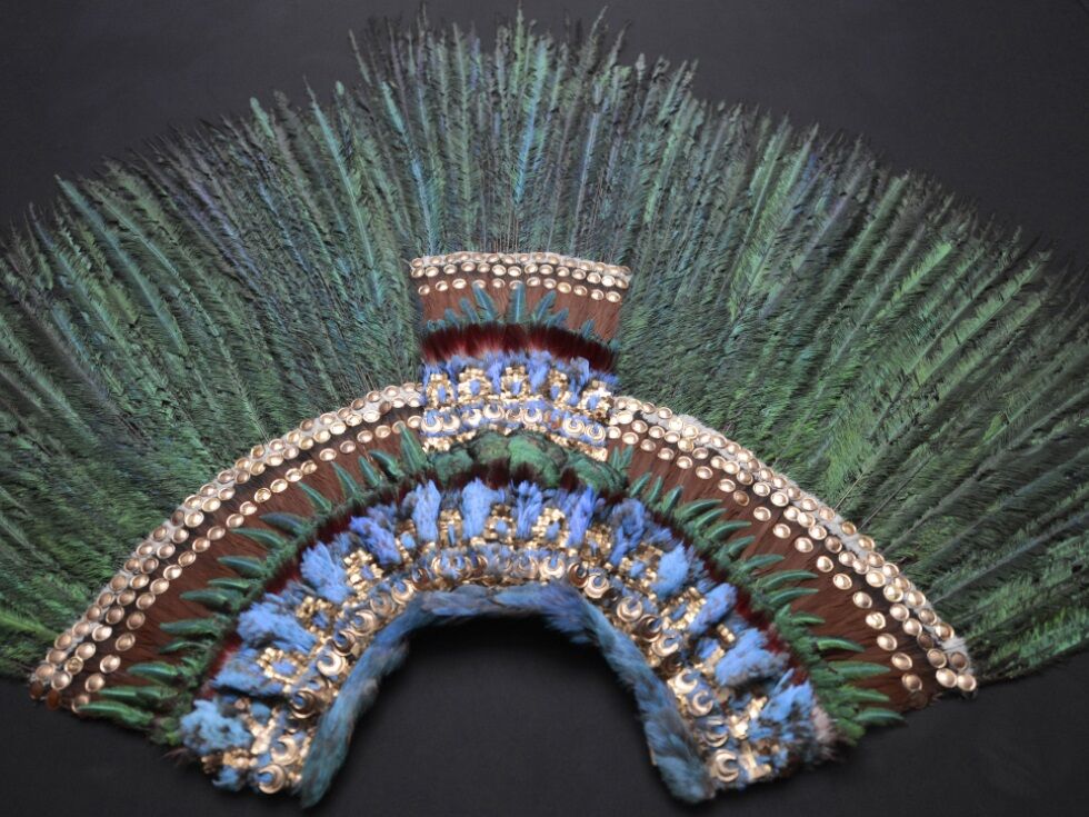 Nova transportna škatla za perjanico v Weltmuseumu sprožila razpravo