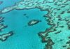 Neues Finanzpaket für Erforschung und Schutz des Great Barrier Reef