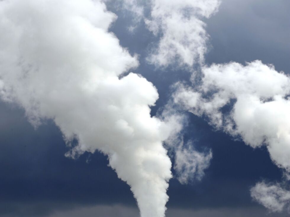 NGO-Allianz fordert Kurskorrektur bei Klimapolitik