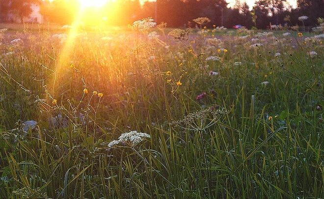 Ein Sonnenstrahl brach noch durch -- ganz zuletzt --
