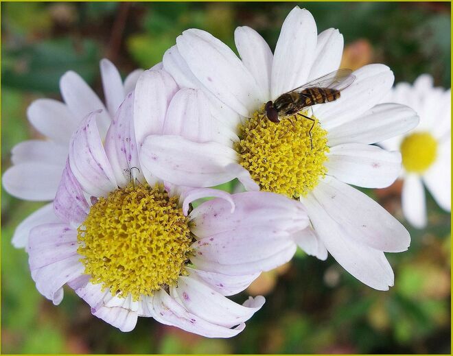 . . .  noch hingebungsvoll hungrig 