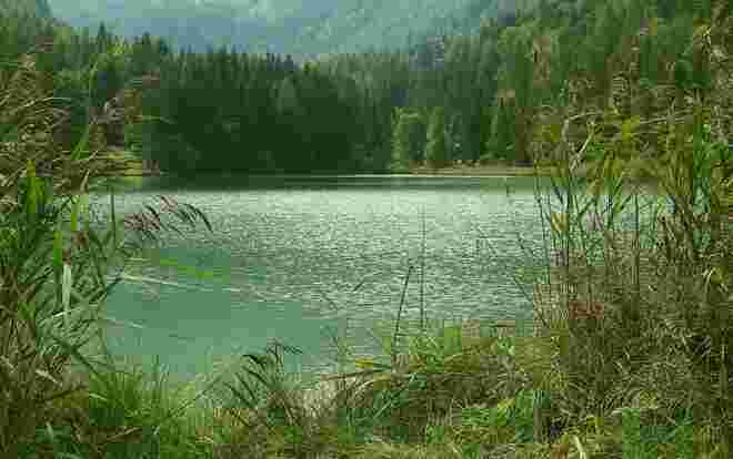 . . . noch mild genug 