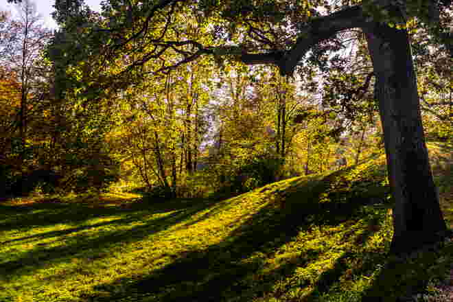 Herbstlichter