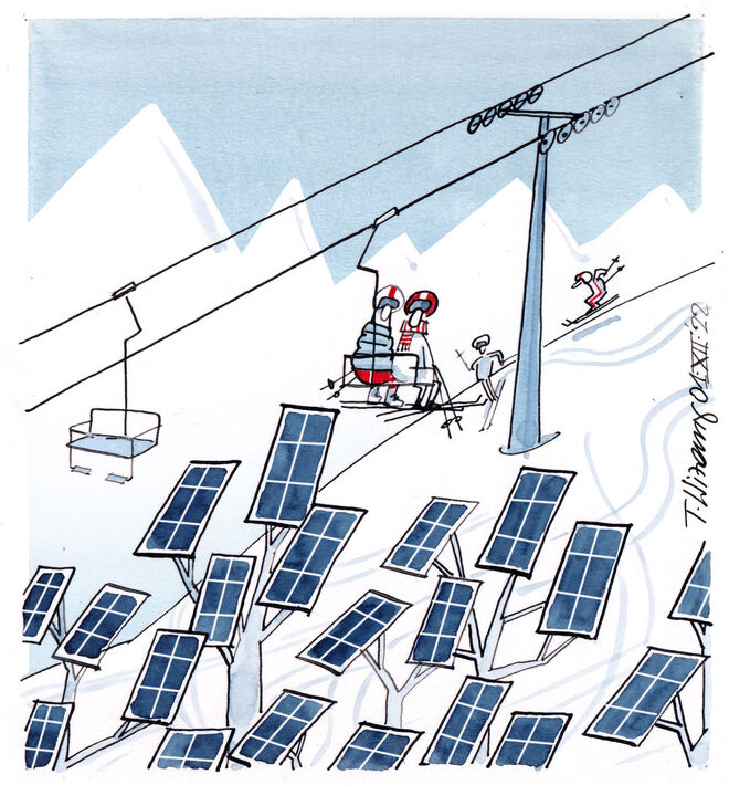 Oberhalb der Solarbaumgrenze