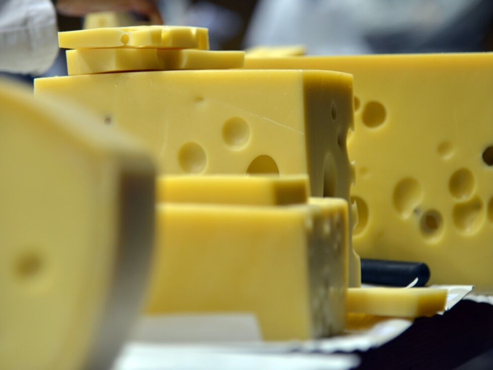 Österreich auf Seite der EU-Kommission beim "Emmentaler"