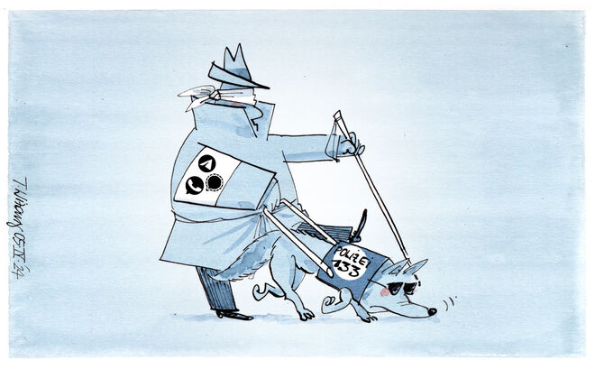 Österreichischer Ermittlungsbeamter …