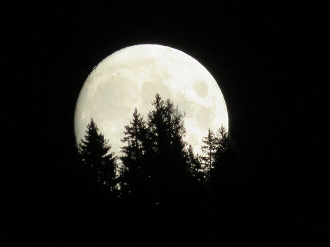 Guter Mond, du gehst so stille .... 