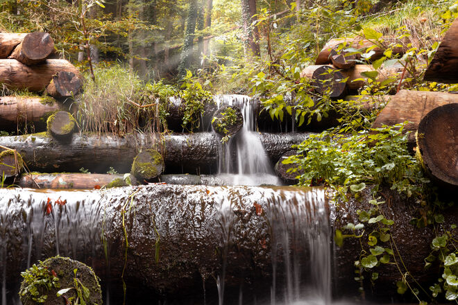 Unbekanntes Bächlein