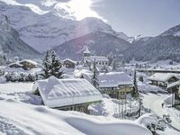 Pongau soll Bio-Ökonomie-Vorzeigemodell werden