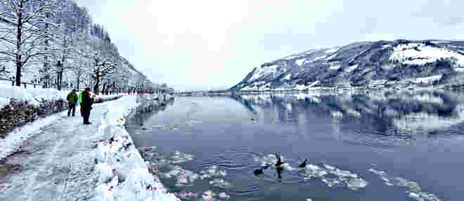 Zeller See