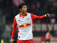 Von Red Bull Salzburg ins Nationalteam: Neun Bullen gehen auf Welttournee