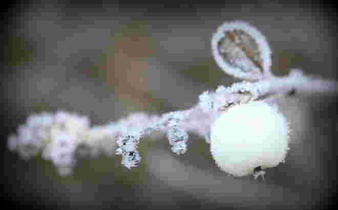 "SCHNEEBÄLLCHEN"