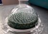 Kunststoffindustrie vor Revolution - Bakterien produzieren klimaneutrales Bioplastik