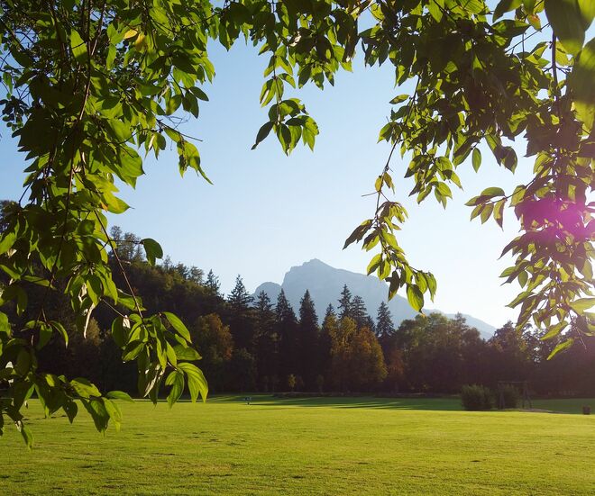 . . . die große Wiese am Abend . . . 