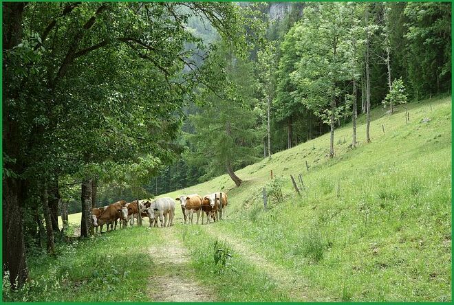 . . . und du meinst , du willst hier durch . . . 