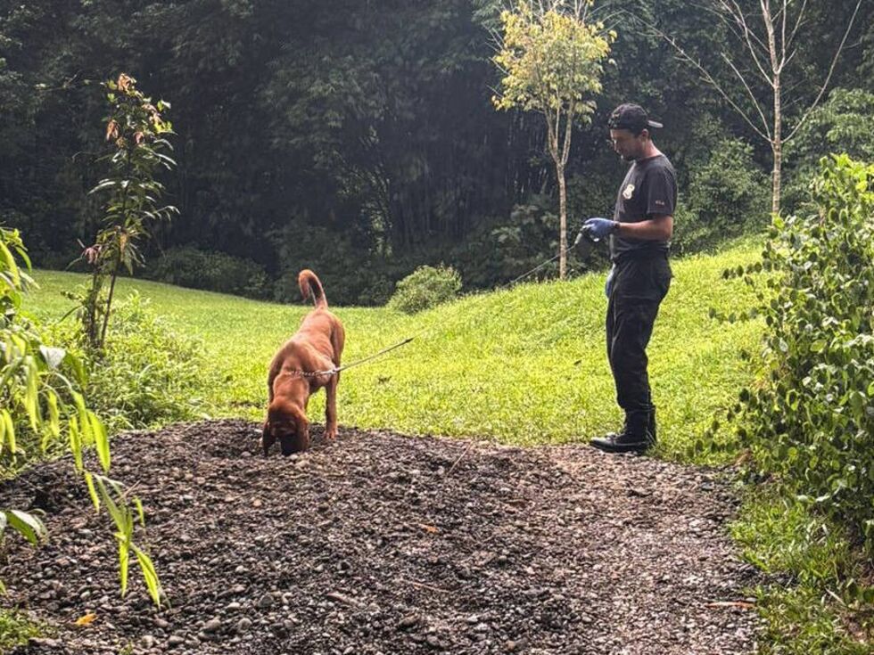 Salzburgerin soll bei Überfall in Costa Rica getötet worden sein