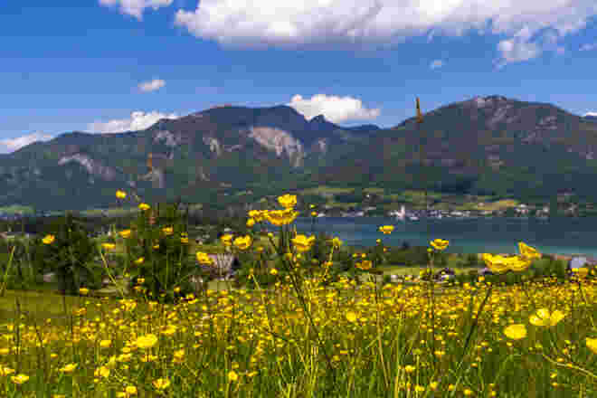 Muttertag