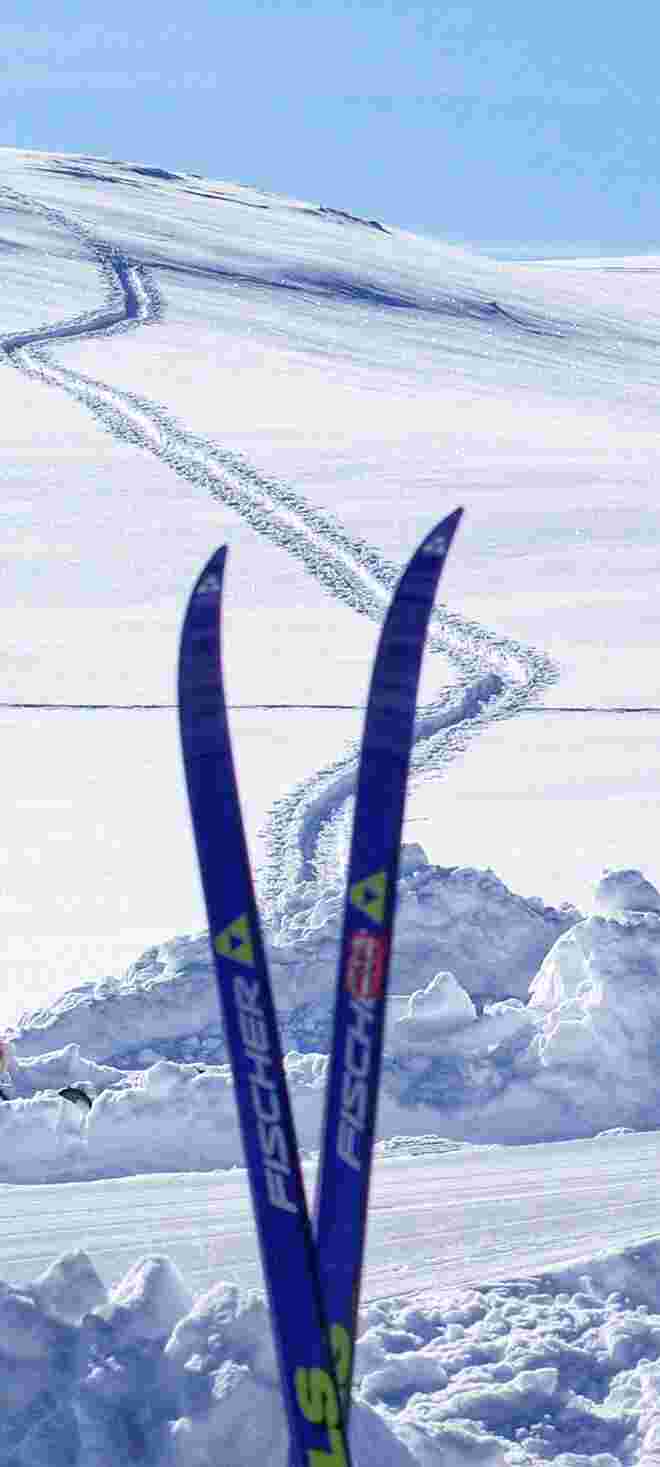 Schafberg