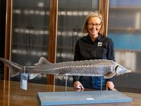 "Sensationsfund": Ausgestorben geglaubter Stör in der Drau wiederentdeckt