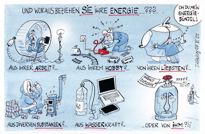 Woher nehmen, wenn nicht stehlen? ...