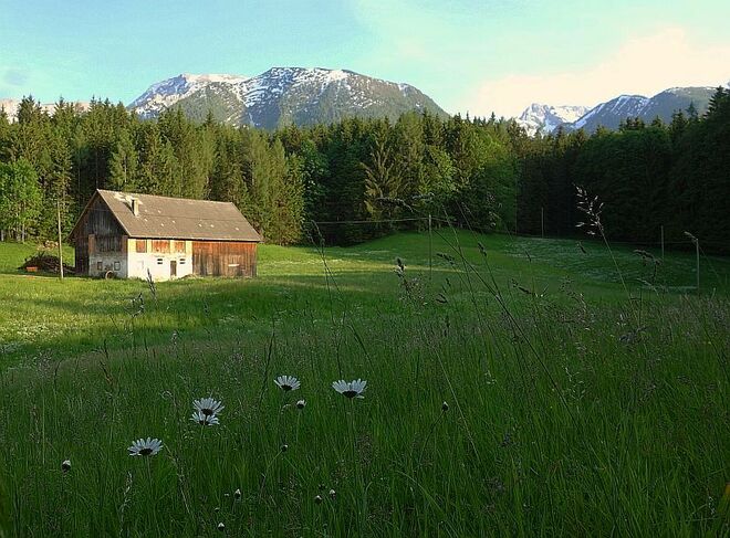 Sonnig bis zum Abend