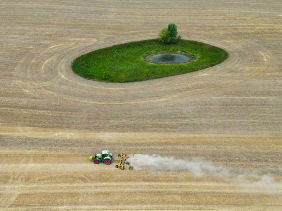 Sorge wegen Wasserknappheit in England
