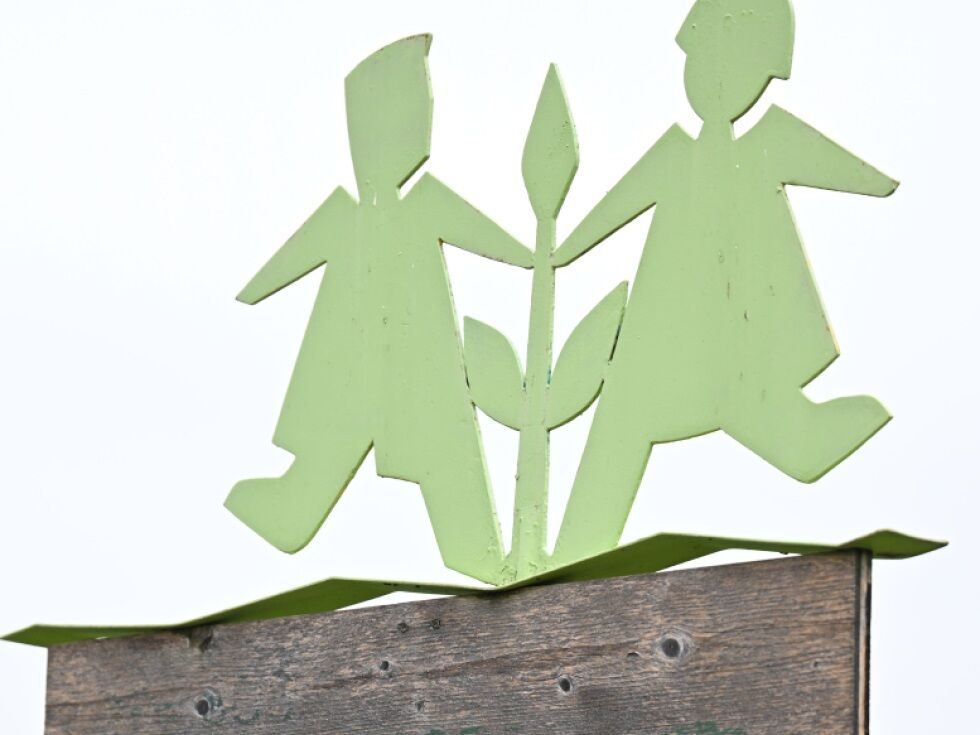 Trägerverein "tief betroffen" zaradi domnevnih zlorab v SOS-Kinderdorfih v Avstriji