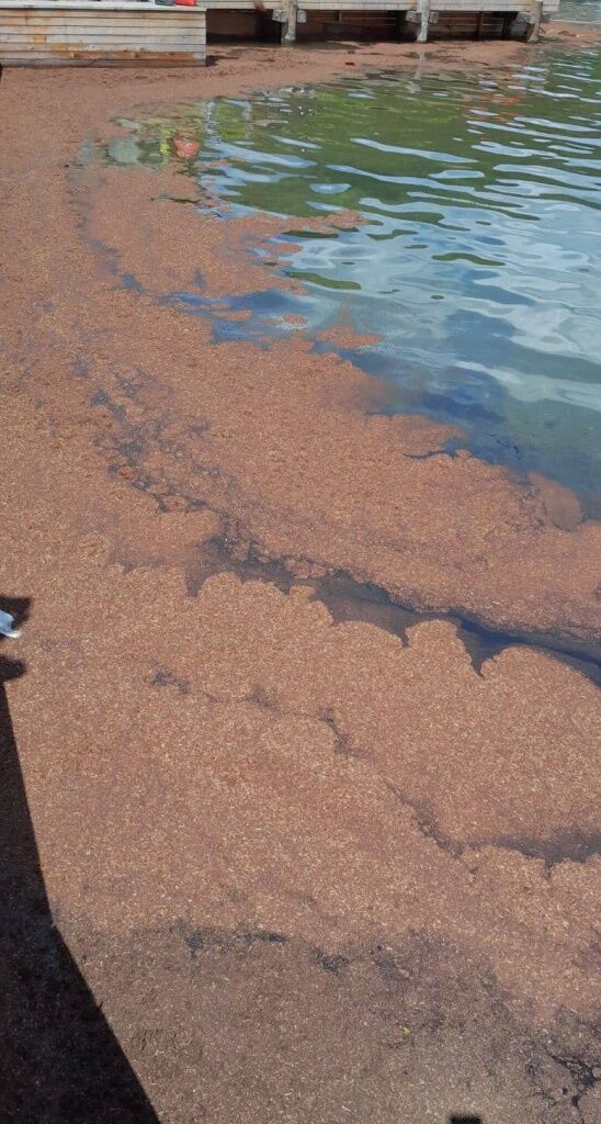 Tickende Umweltbombe geborgen &#8211; aber eine große Menge an Altöl ist dennoch in den Wolfgangsee gelangt.  