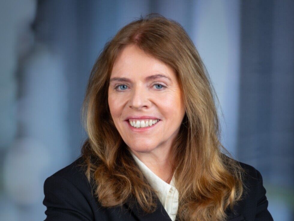 Uvedba podatkovne baze cen do leta 2026 po mnenju vodje Statističnega urada "zelo ambiciozna"