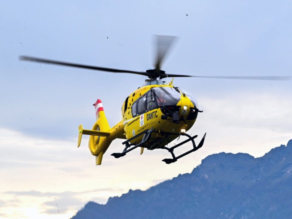 Steinschlag durch Steinböcke - Obersteirer schwer verletzt