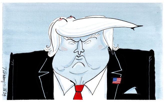 Stormy Hairstyle ...