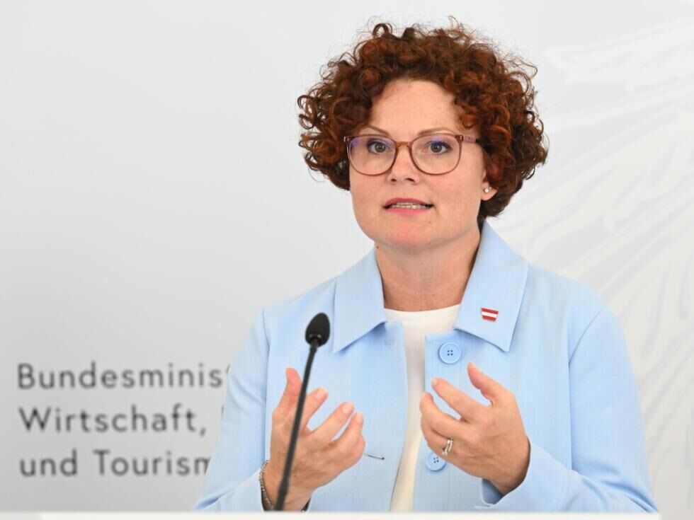 Zehetner vztraja pri tarifah za električno energijo iz sončnih elektrarn kljub novemu zakonu o trgu z električno energijo