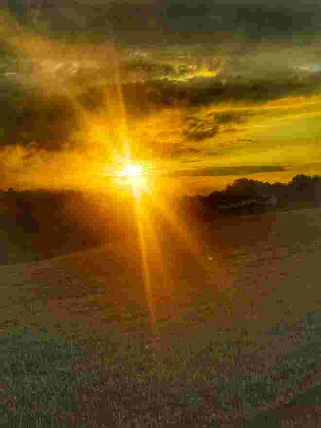 die Sonne geht