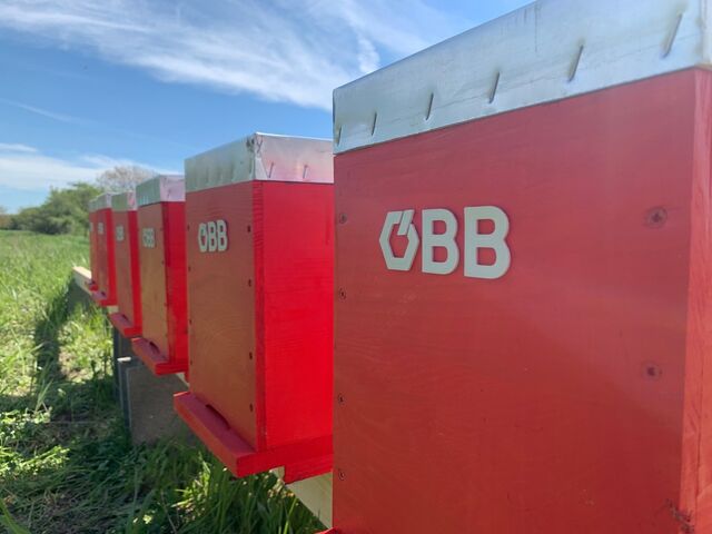 Der ÖBB-Schienenhonig.   