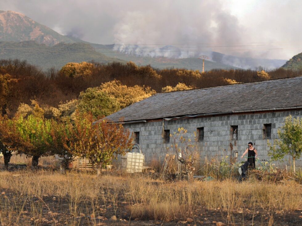Zaradi gozdnega požara blizu Tarife evakuirali več tisoč ljudi