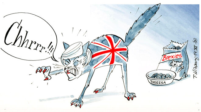 Theresa mit den sieben Leben …