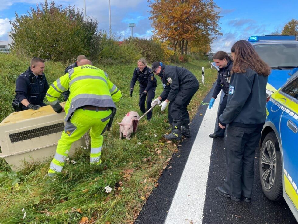 Tierischer Einsatz für Mödlinger Feuerwehr in Deutschland