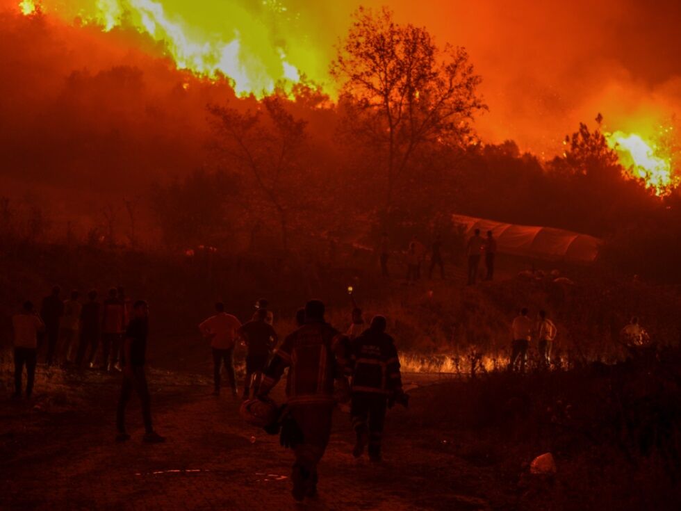 Tote bei Waldbrandbekämpfung in der Türkei