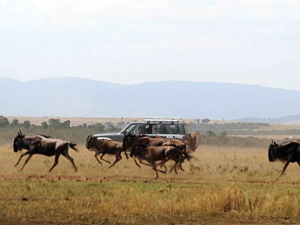 Touristen kommen bei Flugzeugabsturz in Kenia ums Leben