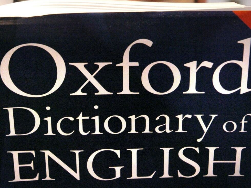 Trendbegriffe wie "tradwife" und "delulu" stehen nun im Cambridge Dictionary