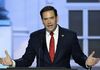 Trump macht Senator Marco Rubio zum US-Außenminister