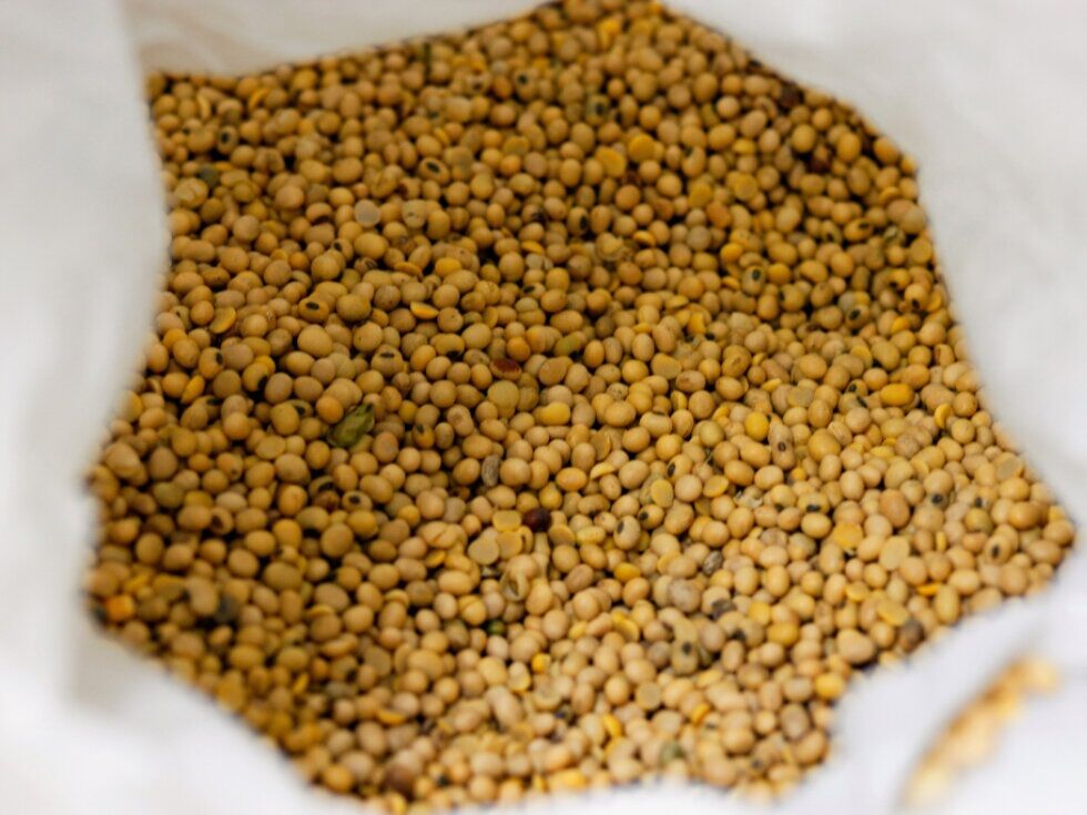 Trump napovedal srečanje s Xi Jinpingom, osrednja tema bo soja