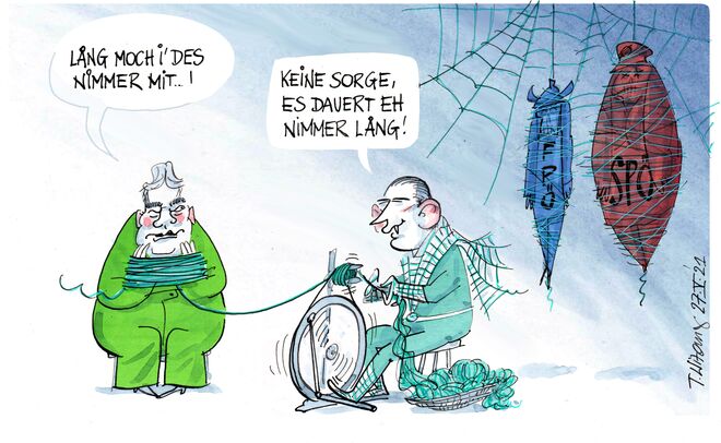 Die türkise Witwe . .  .