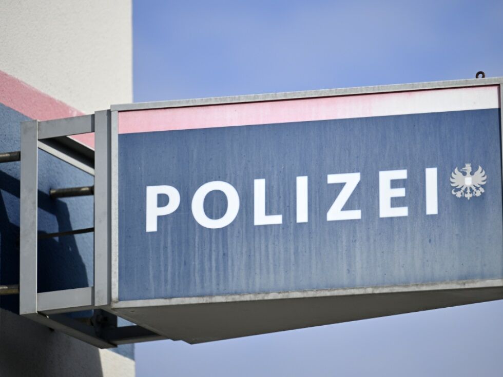 Über 10.000 Euro Schaden: Serieneinbrecher in Wien gefasst